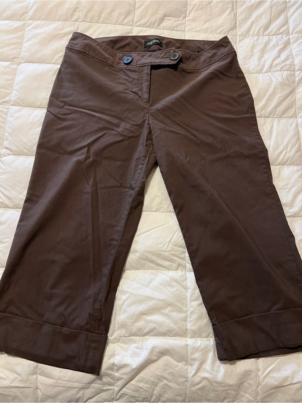 Lane Bryant wide legged Capri Pants